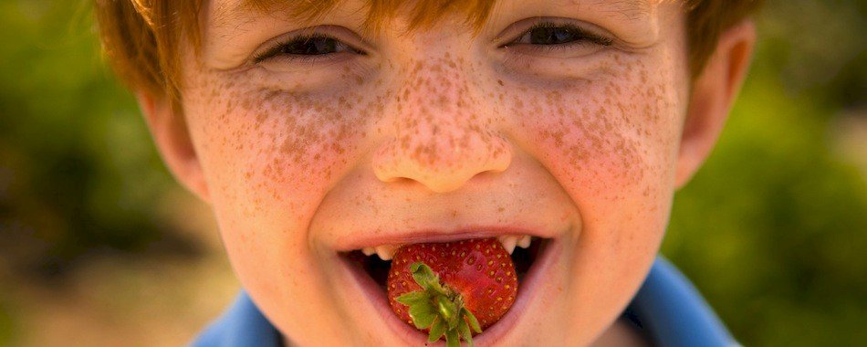 Cueille tes fruits et légumes à Fraisochamps ! o099kgmze7