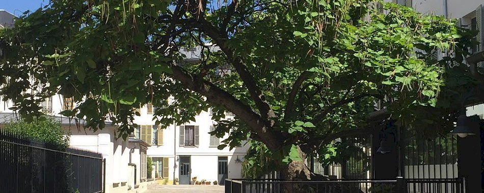 La petite Venise du Marais o28f1wyk0y