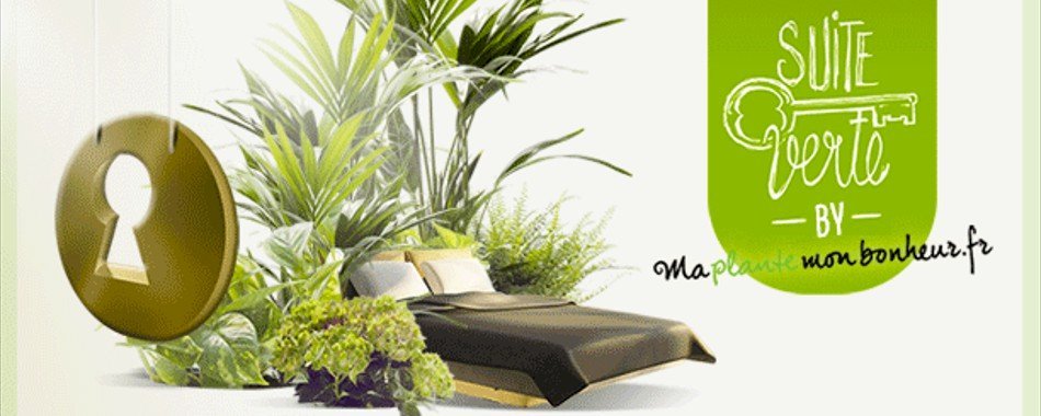 Suite verte oai246my55