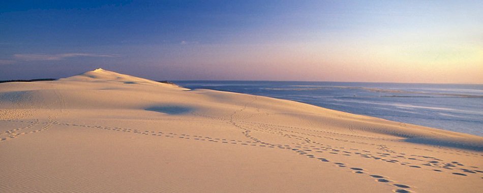 La dune du Pilat a pris 30 cm en 5 ans ! p6i1ts2wy8