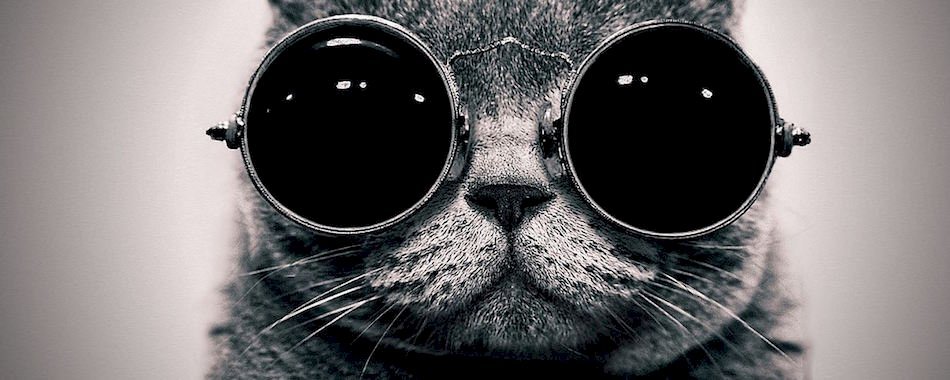 Que faire à Lille ce weekend ? (4-6 novembre) r2pe186tka