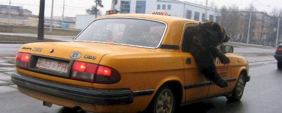 Rétrospective d'un siècle de taxis à New York setu6d5ahc