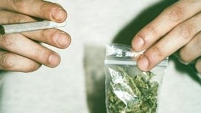 Légalisation du cannabis : pour ou contre ? Le Bonbon