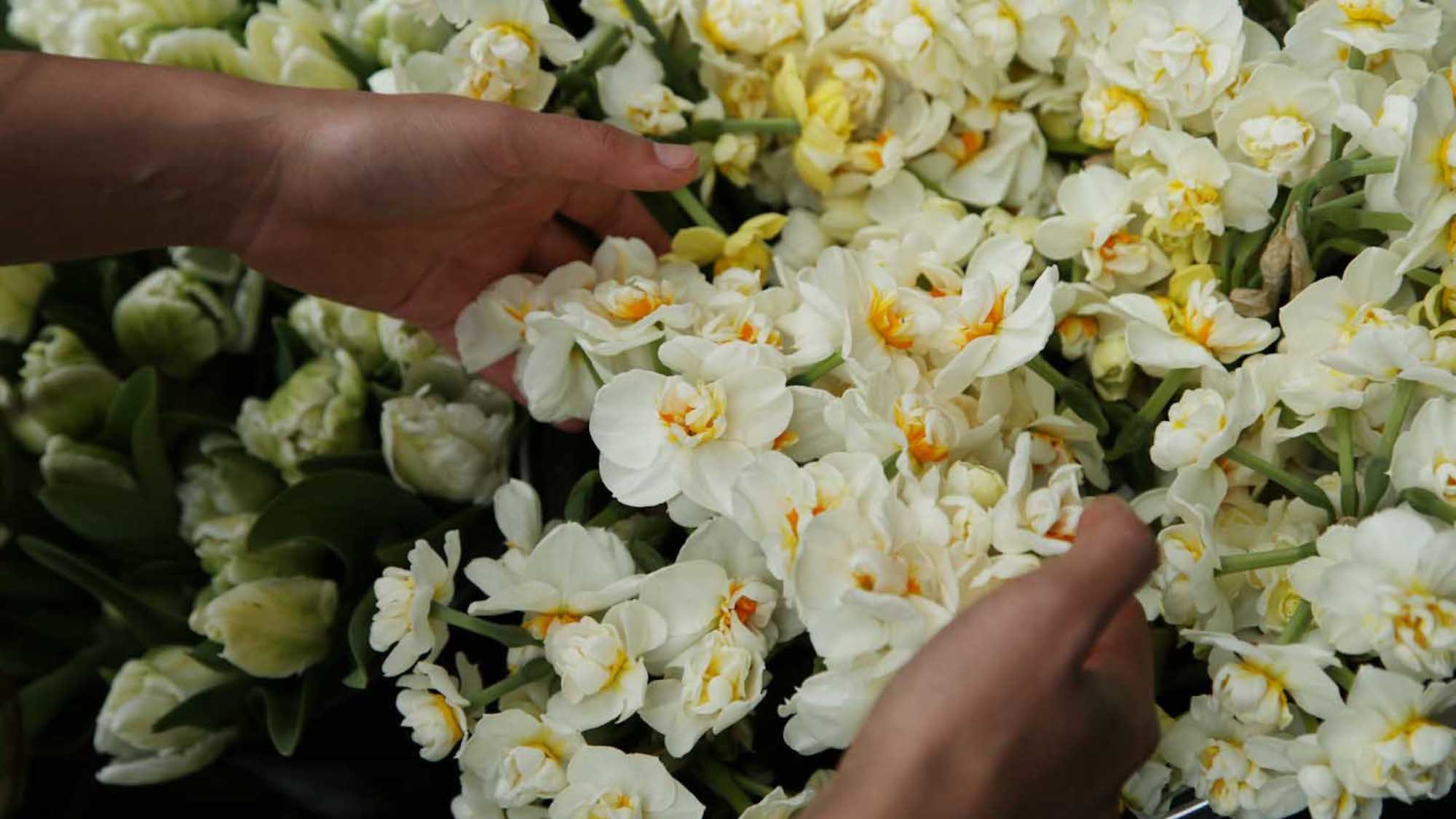 La première ferme florale de Paris ouvre ses portes 80qmuxm9di