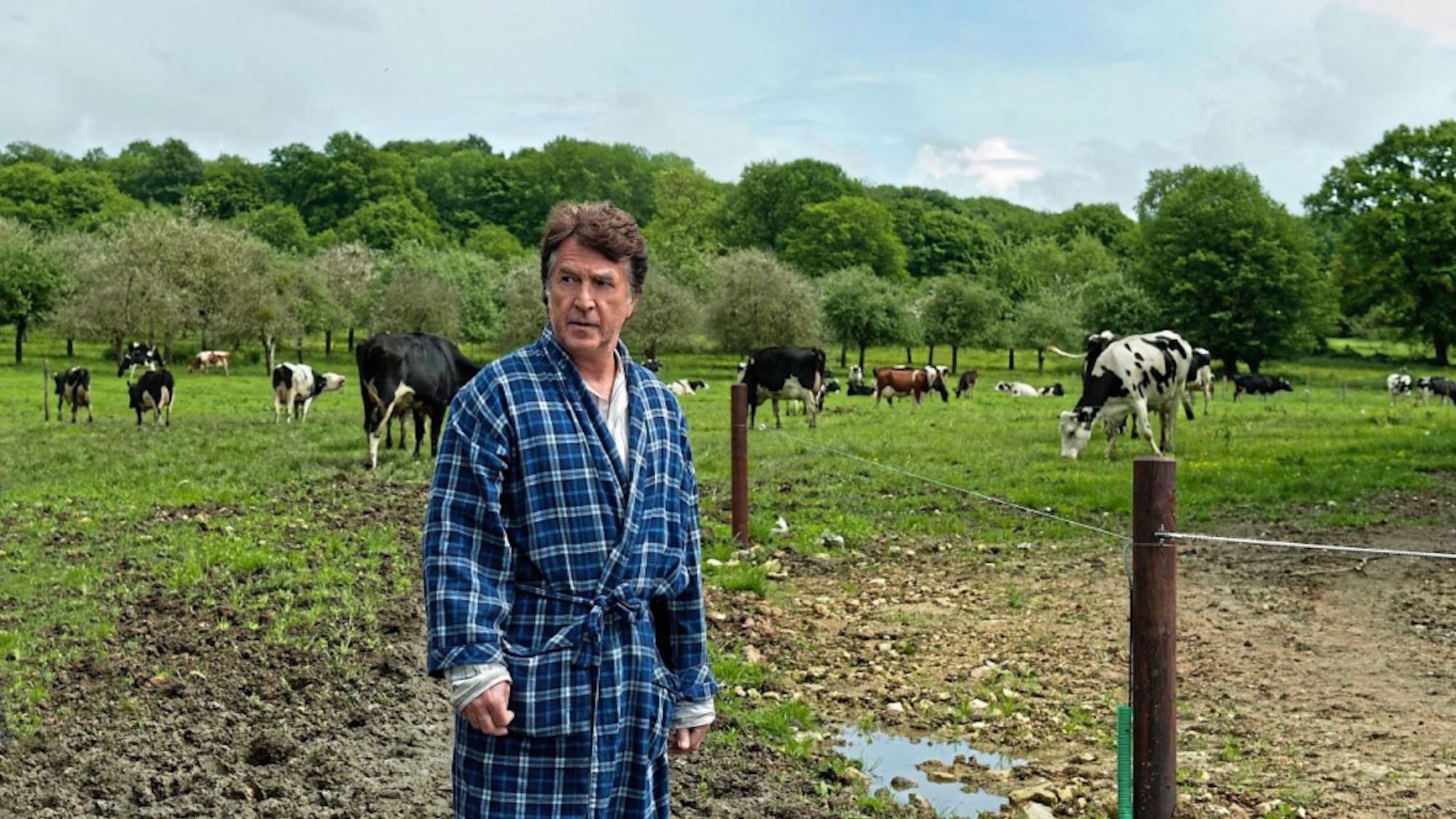 Des agriculteurs enterrent leurs slips pour tester leurs sols b2m6bi7yy7