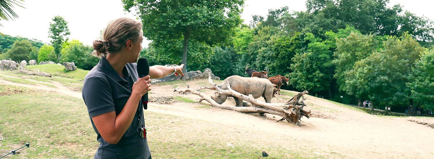 animations zoo de beauval