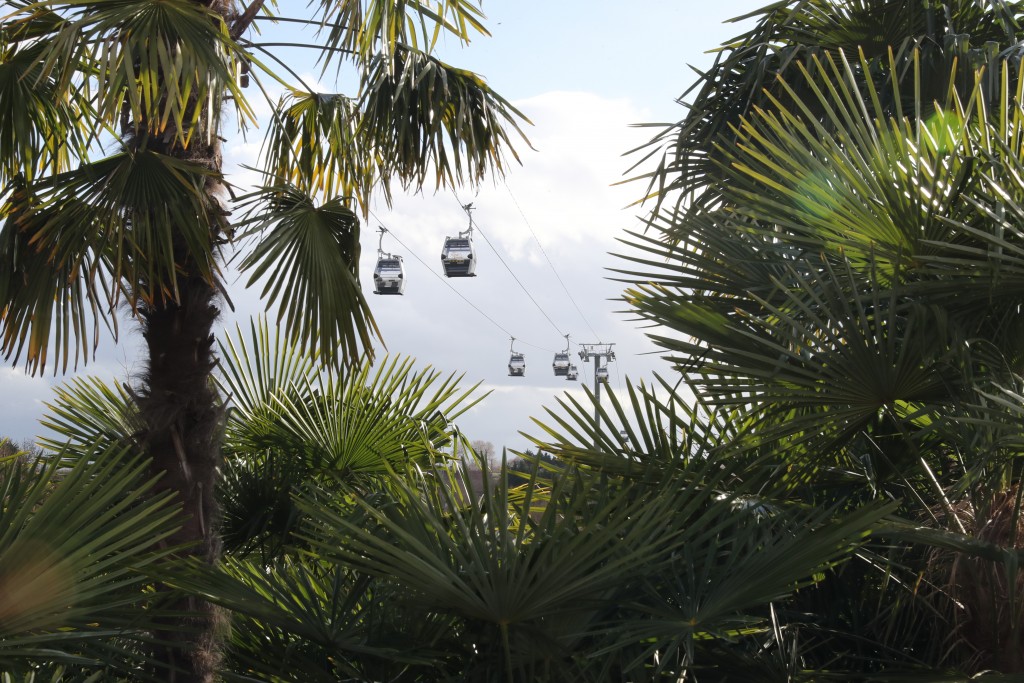 téléphérique zoo de beauval