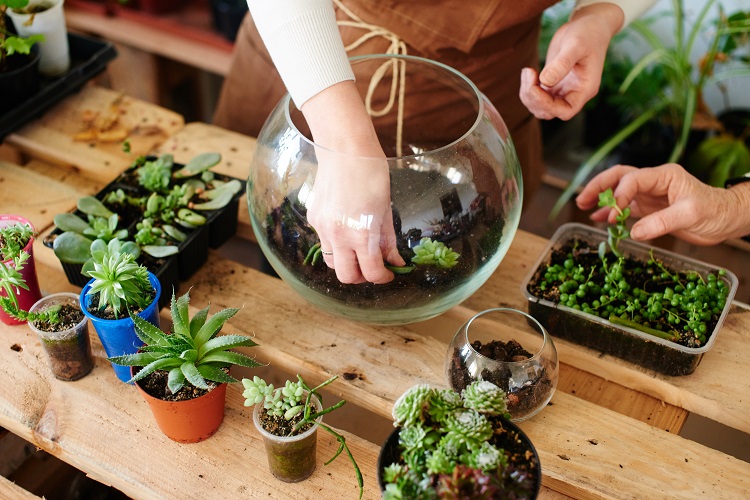 atelier terrarium nantes