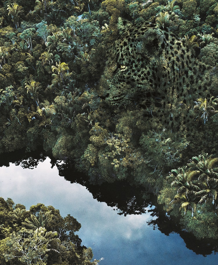 exposition amazonie chateau nantes