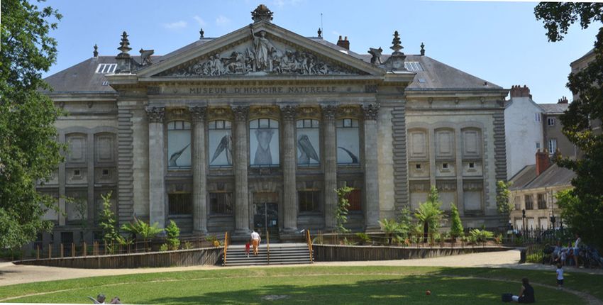 museum histoire naturelle nantes