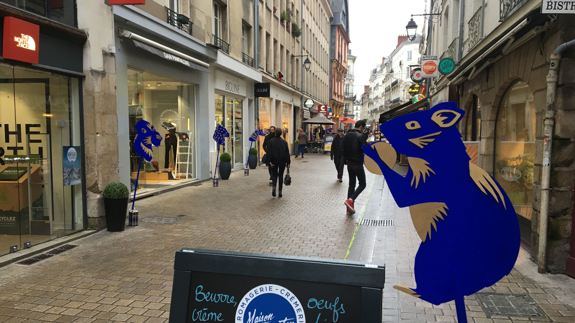Un drôle de bestiaire a fait son apparition rue des Carmes et rue Saint-Léonard 3herr1i48x