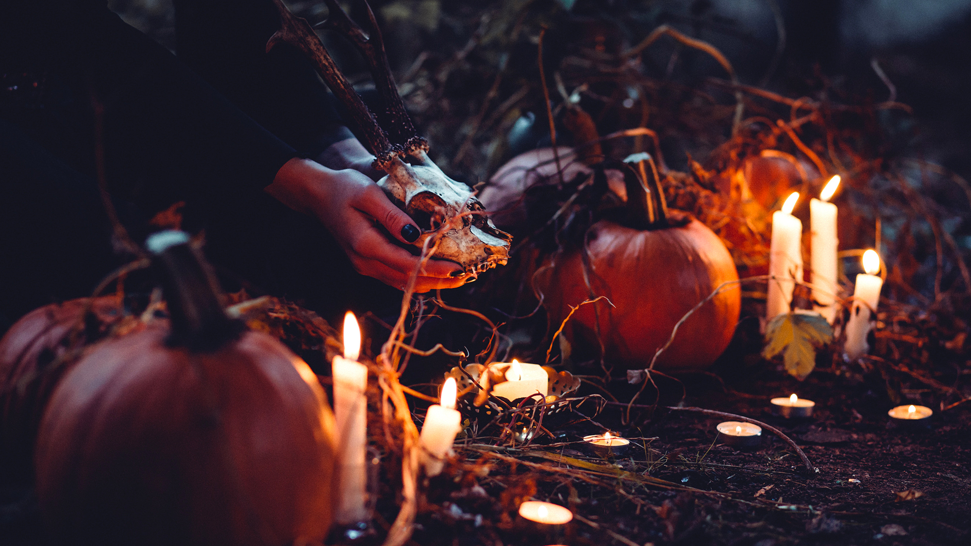 Halloween, un désastre écologique : Comment passer au green ? 13vawyiz0k