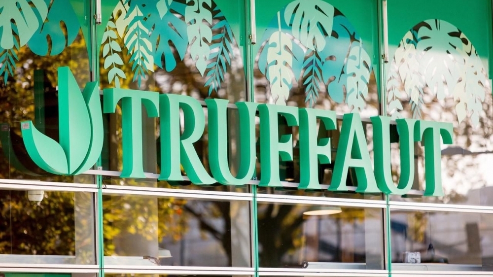 Truffaut Chiot Disponible La Ville Du Bois