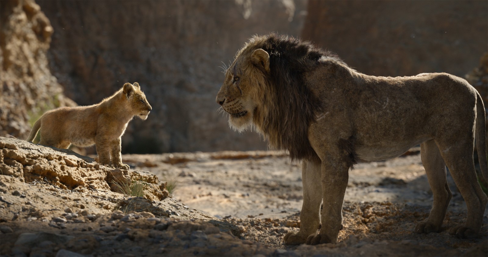 Le Roi Lion film critique