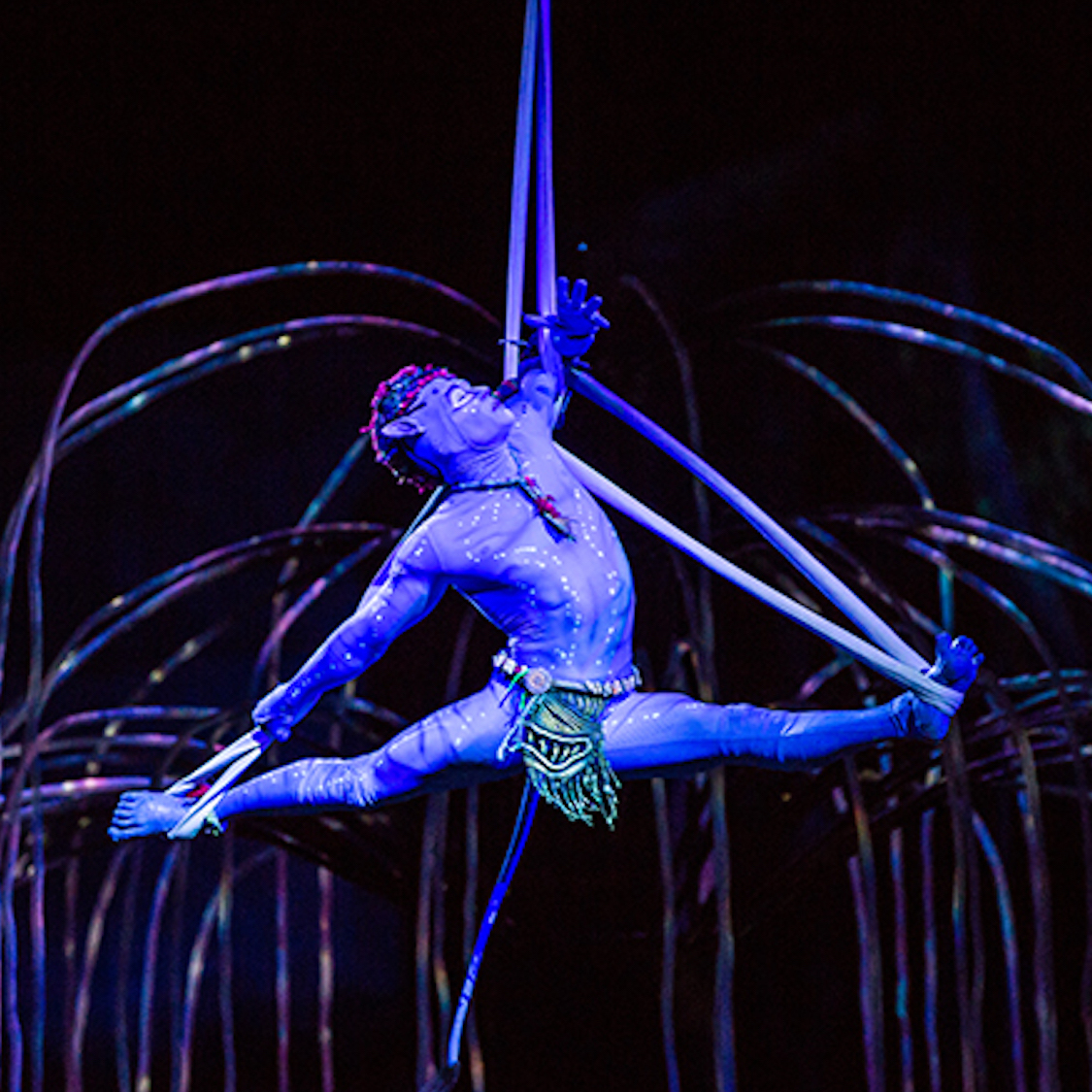 toruk-acrobatie