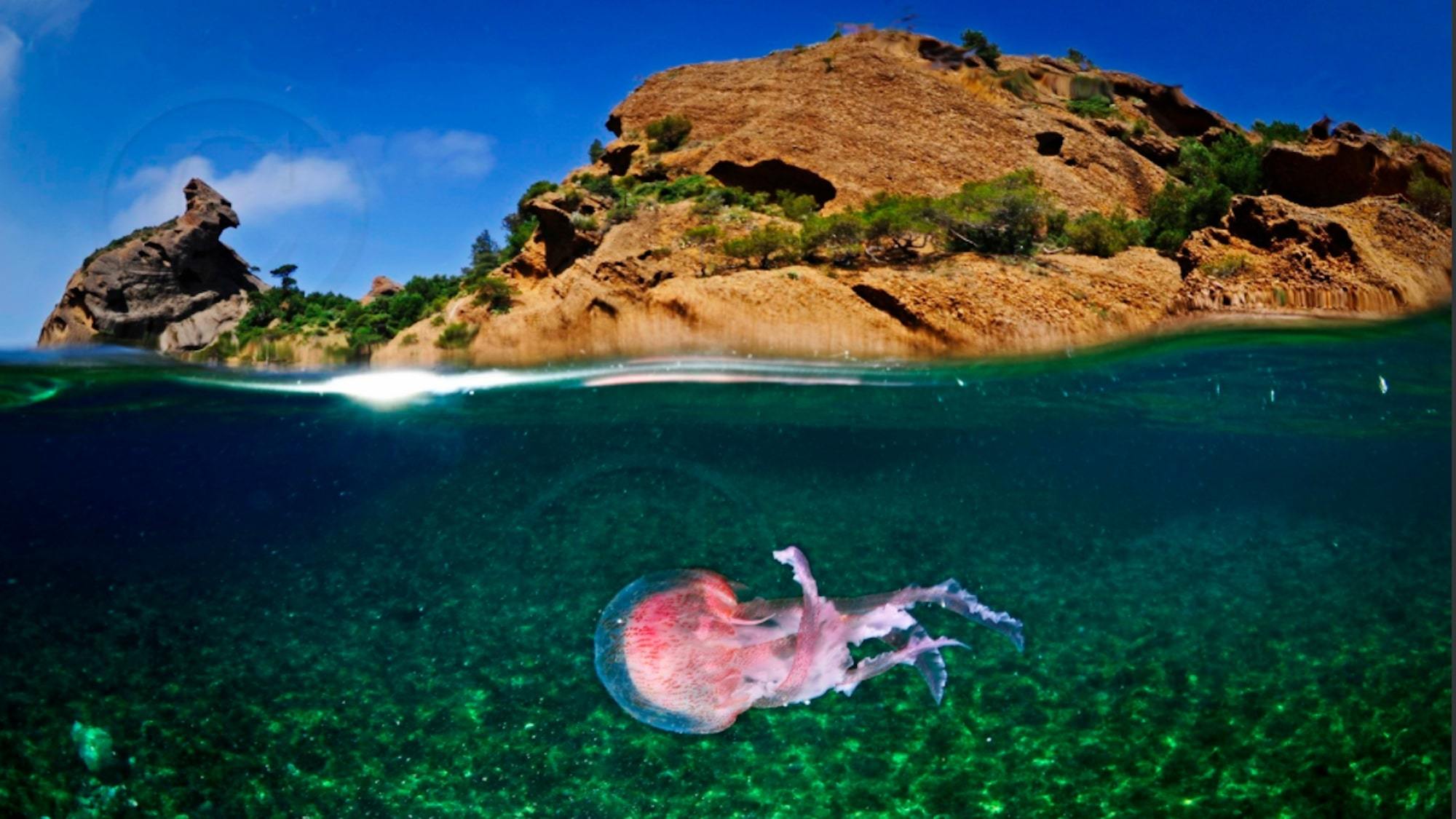 capture-d-e-cran-2020-04-29-a-12-58-26