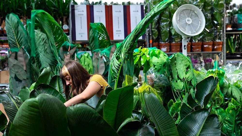 plantes-pour-tous-fb