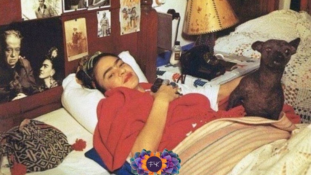 Une conférence sur Frida Kahlo va avoir lieu ce weekend dans le centre de Toulouse fridak