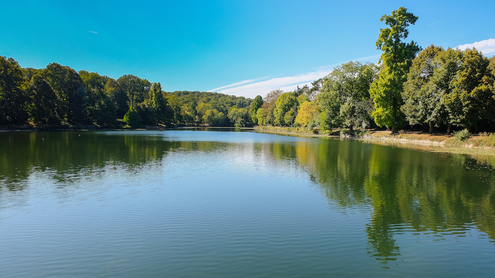 Les étangs de Corot : un havre de paix à deux pas de Paris