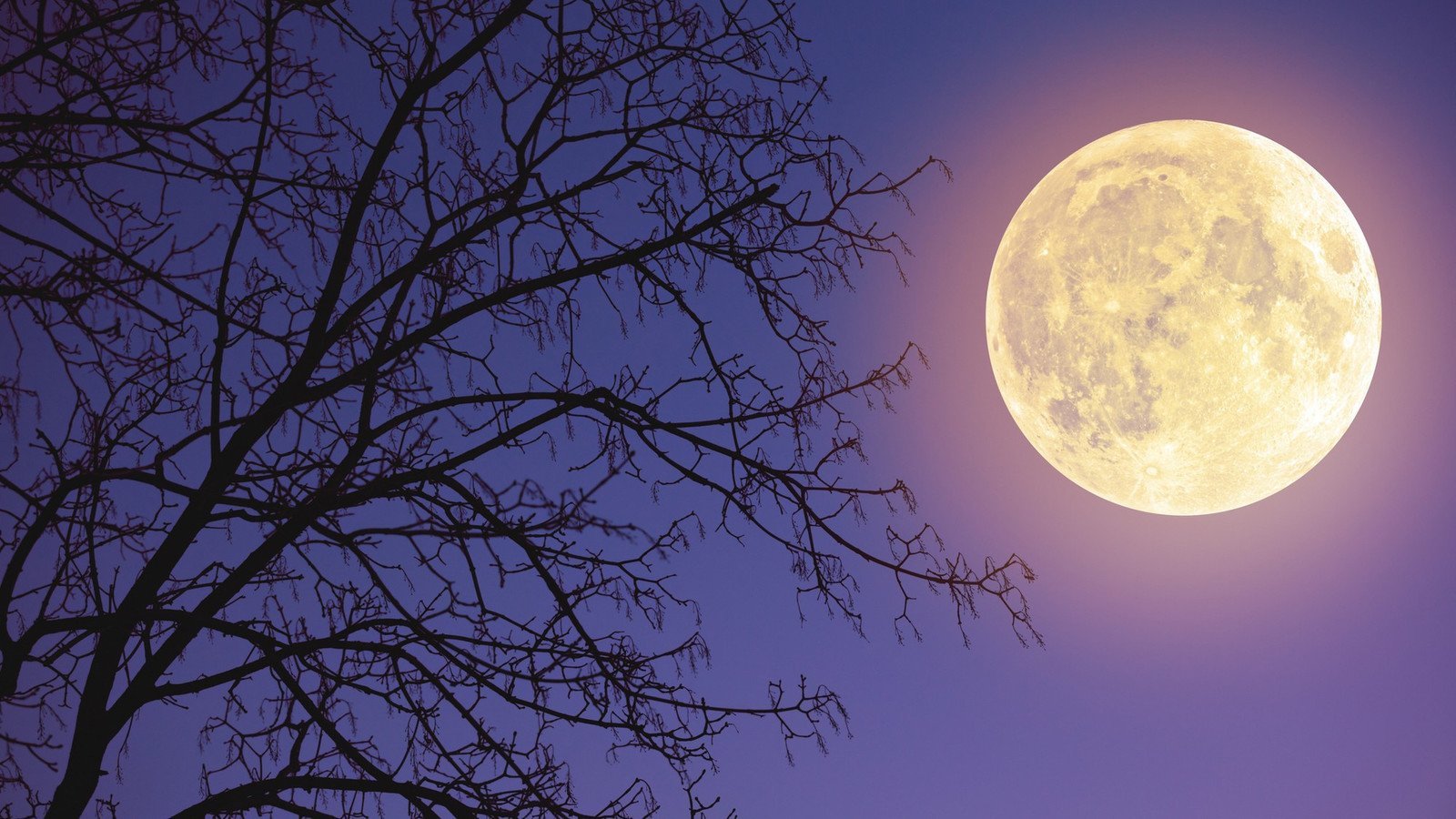 La dernière super Lune de l'année aura lieu dans la nuit de jeudi à  vendredi - Le Parisien