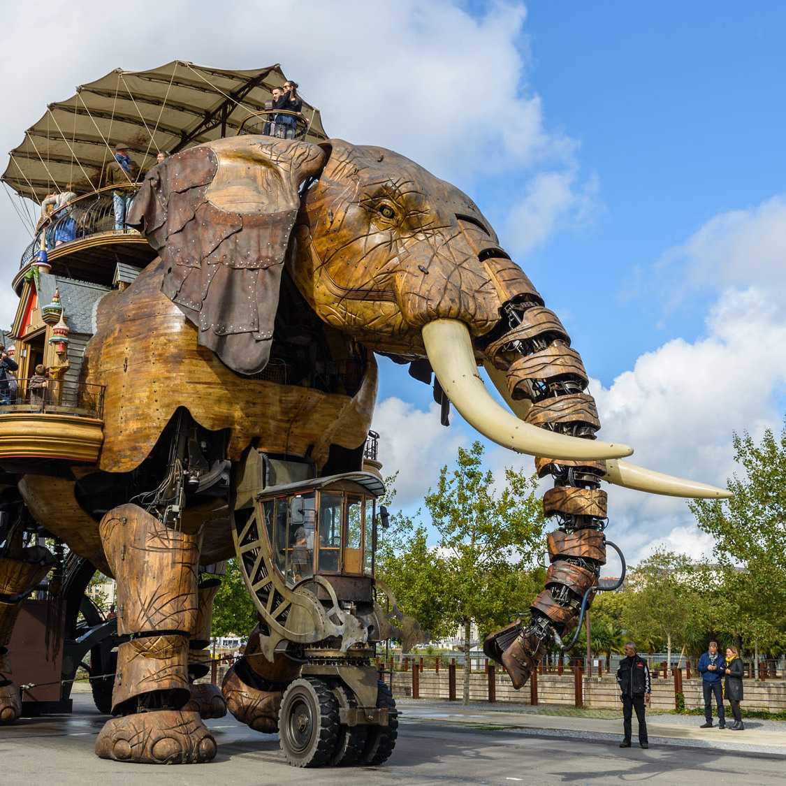 Deconfinement Nantes L Elephant Sera De Sortie Ce Samedi