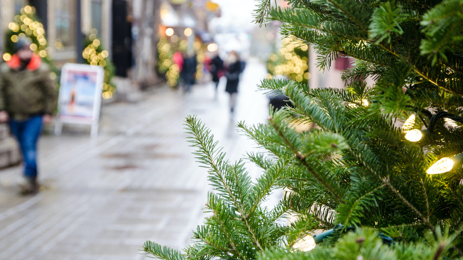 La vente de sapins de Noël sera autorisée en extérieur | News | Marseille