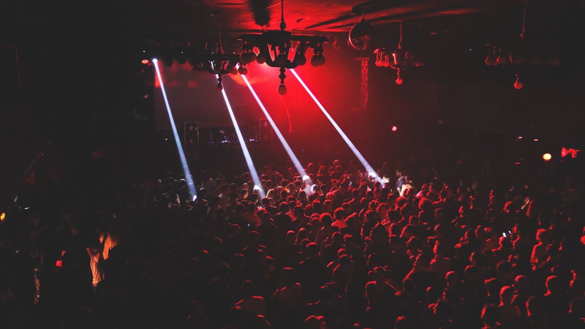 apolo-nitsa-club-test-covid-express-concert-1000-p