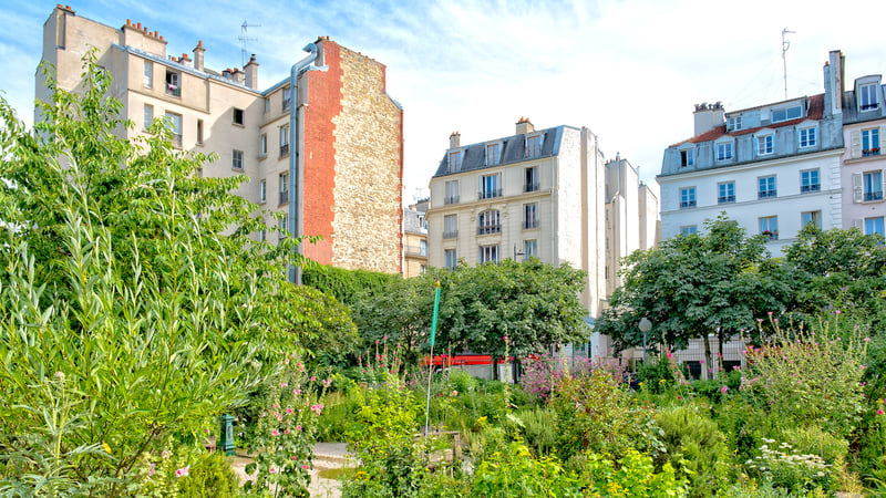 La Ville De Paris Va Planter 170 000 Arbres Pour Végétaliser La ...