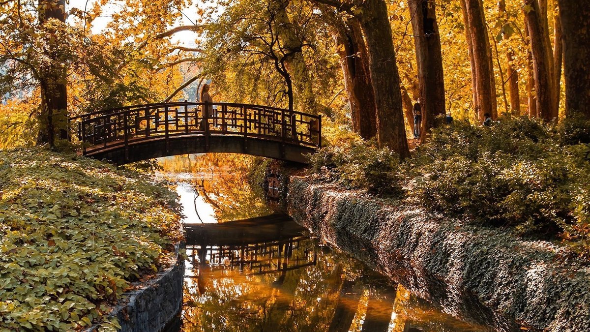 PHOTOS les merveilleuses couleurs de l'automne à Lyon Le Bonbon