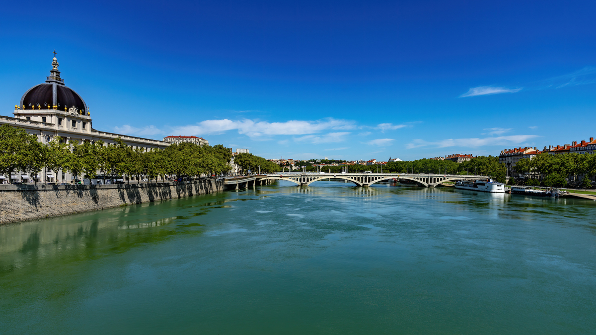 Lyon : trois dauphins aperçus dans le Rhône ce jeudi matin !