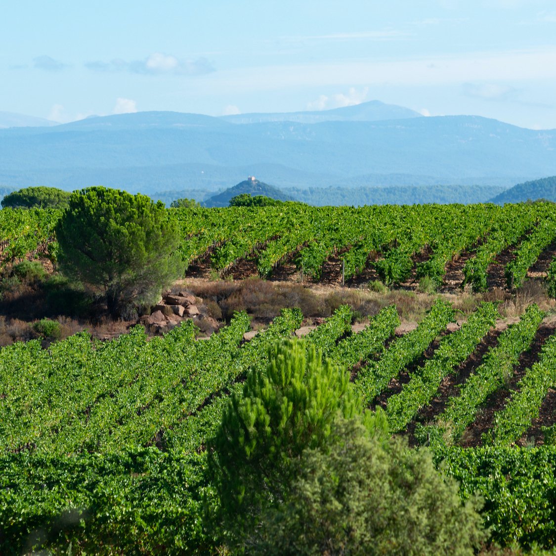 agriculture-urbaine-marseille