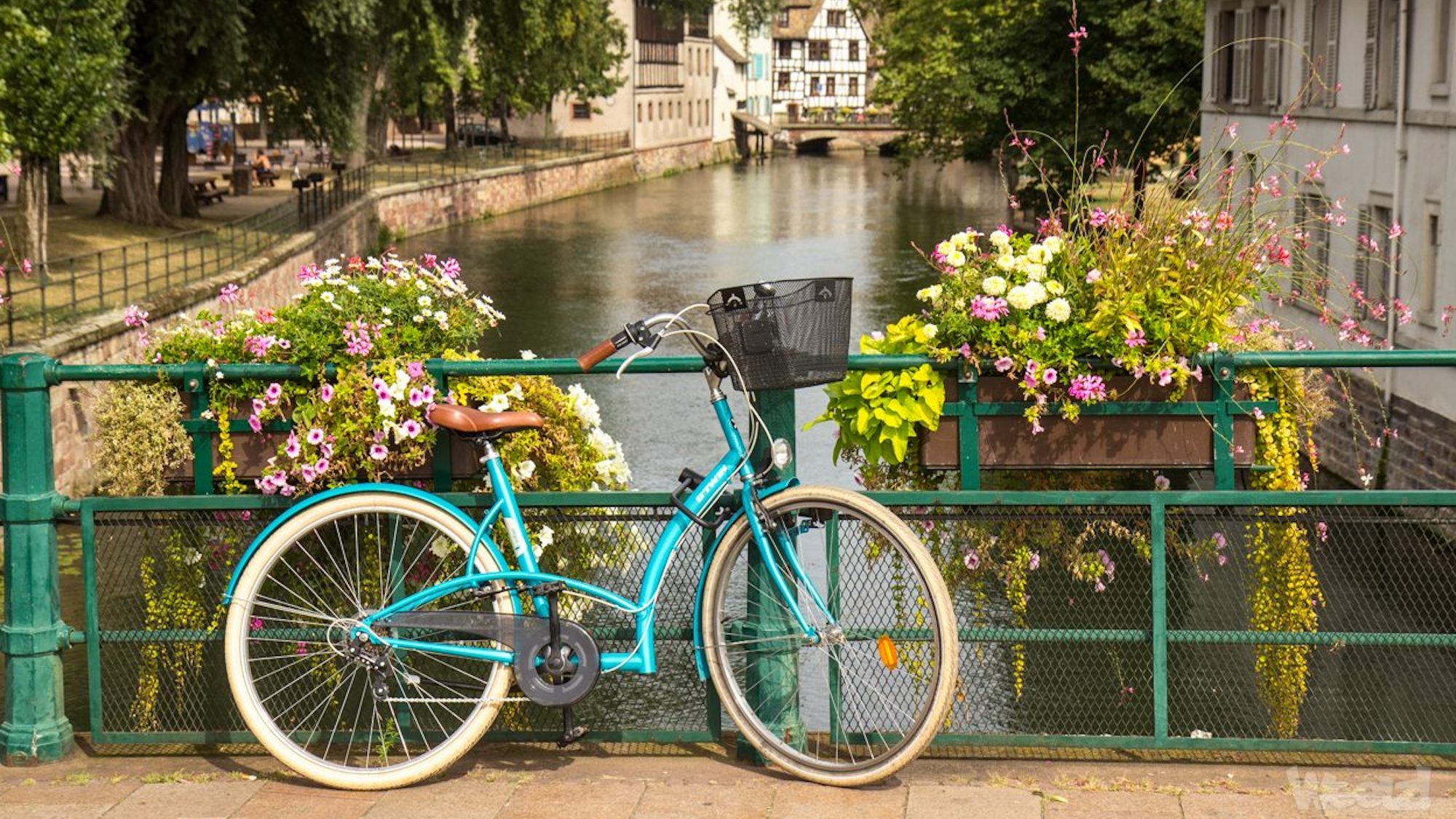 weelz-visite-velo-strasbourg-2016-66-1248x832