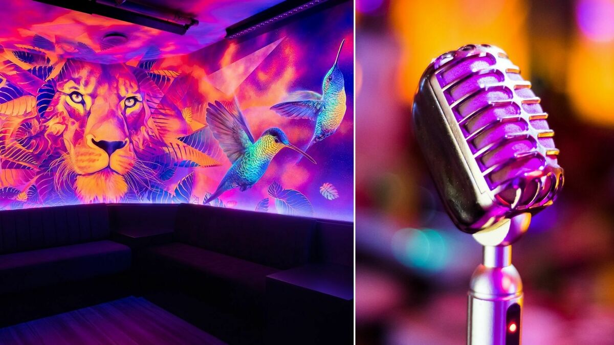 Groove Box, le sublime karaoké japonais qui fait chanter Strasbourg