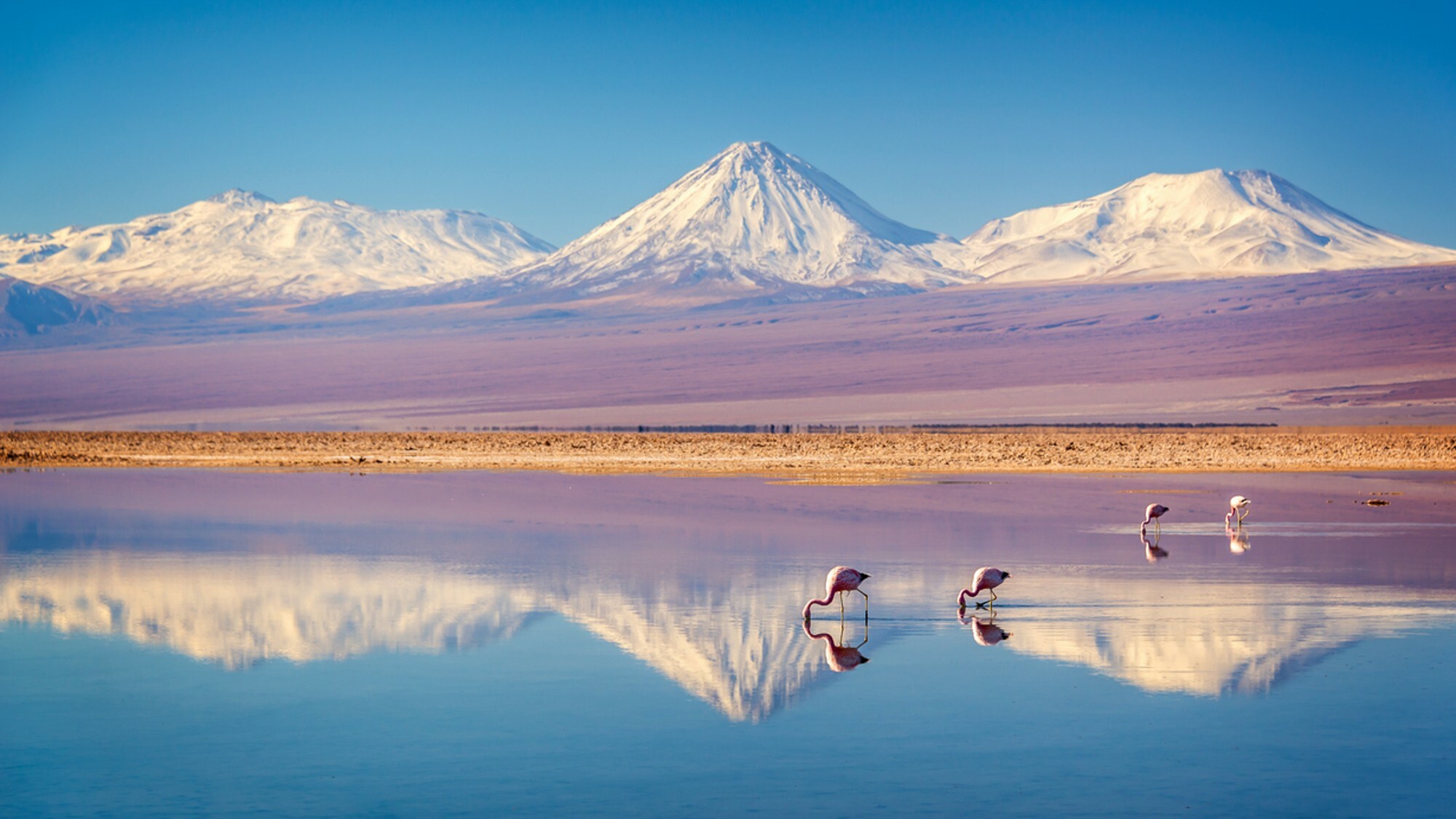 voyage-sans-restriction