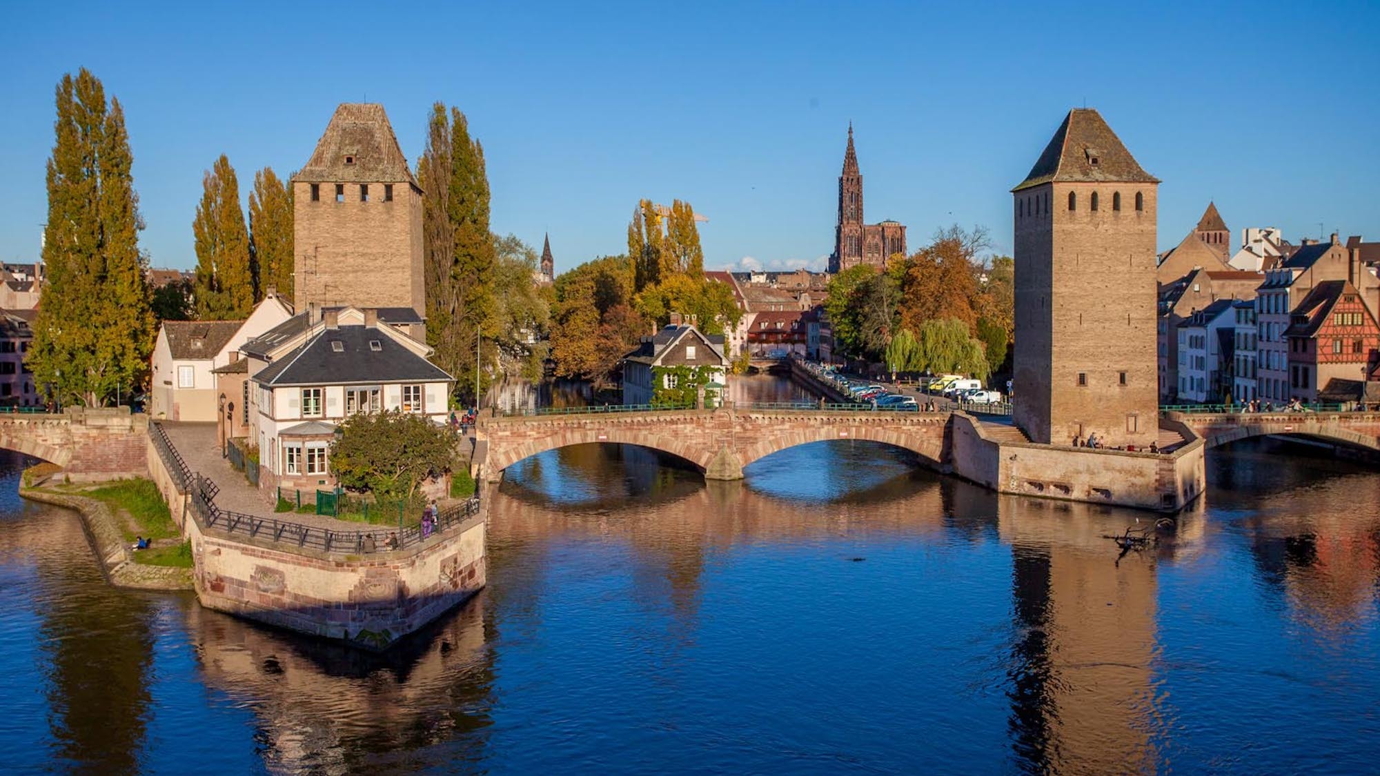 Strasbourg : trois dauphins aperçus dans le Rhin ce vendredi matin ! g-90098-223007617-1900421-0-1
