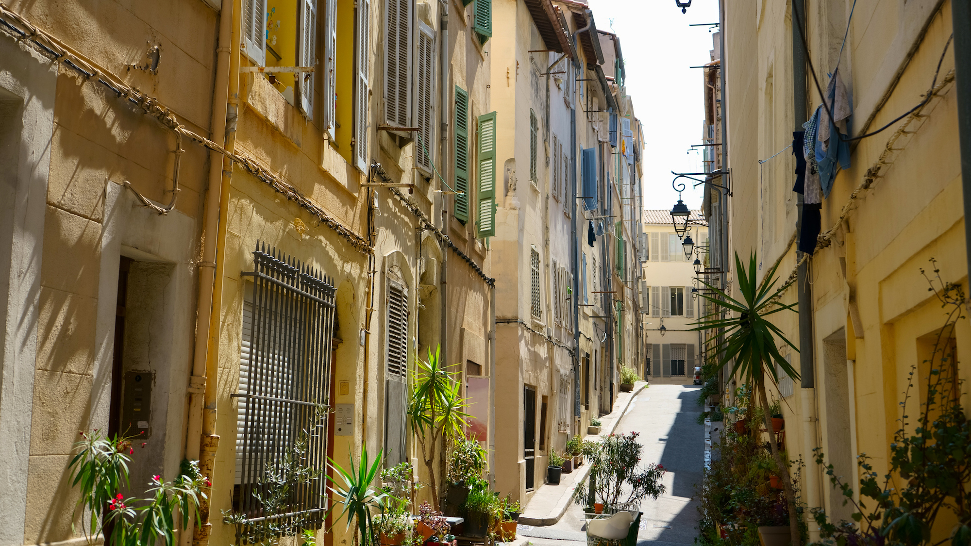 "Visa vert" : végétaliser soi-même sa portion de rue à Marseille marseille-visa-vert-