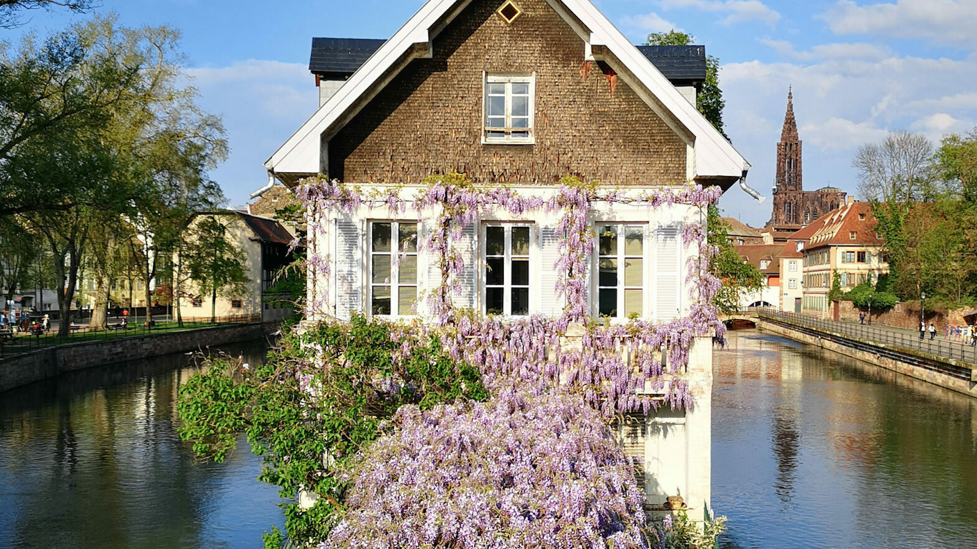 OMG : le portail de la célèbre maison aux glycines a été grillagé home-e1646321221460