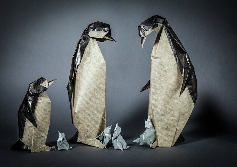 Espace Richaud Versailles