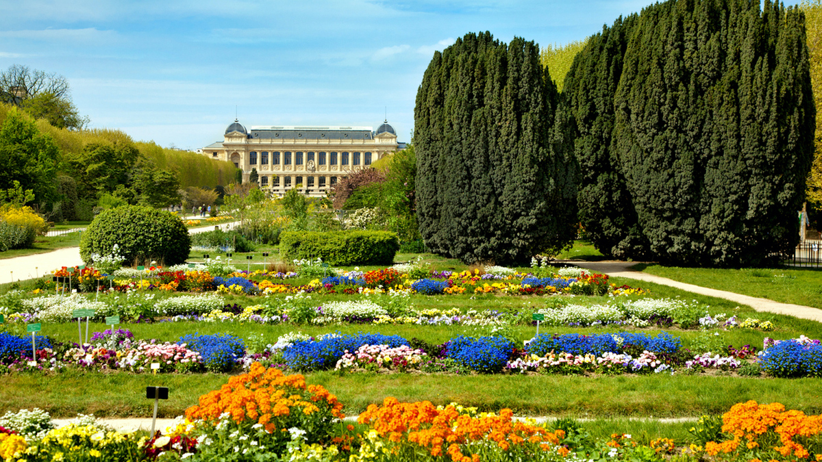 Le Jardin écologique du Jardin des plantes ouvre ses portes cet été