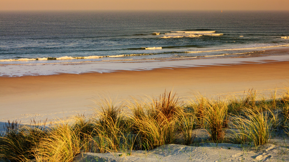 Changement brutal de températures : 20° en moins et de grosses rafales de vent prévues ce soir dans le Sud-Ouest istock-629723676