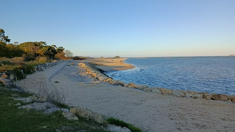 Digue des 44 hectares Miplage, michemin paradisiaque au Cap Ferret Le Bonbon Digue des 44 hectares Miplage, michemin paradisiaque au Cap Ferret Le Bonbon