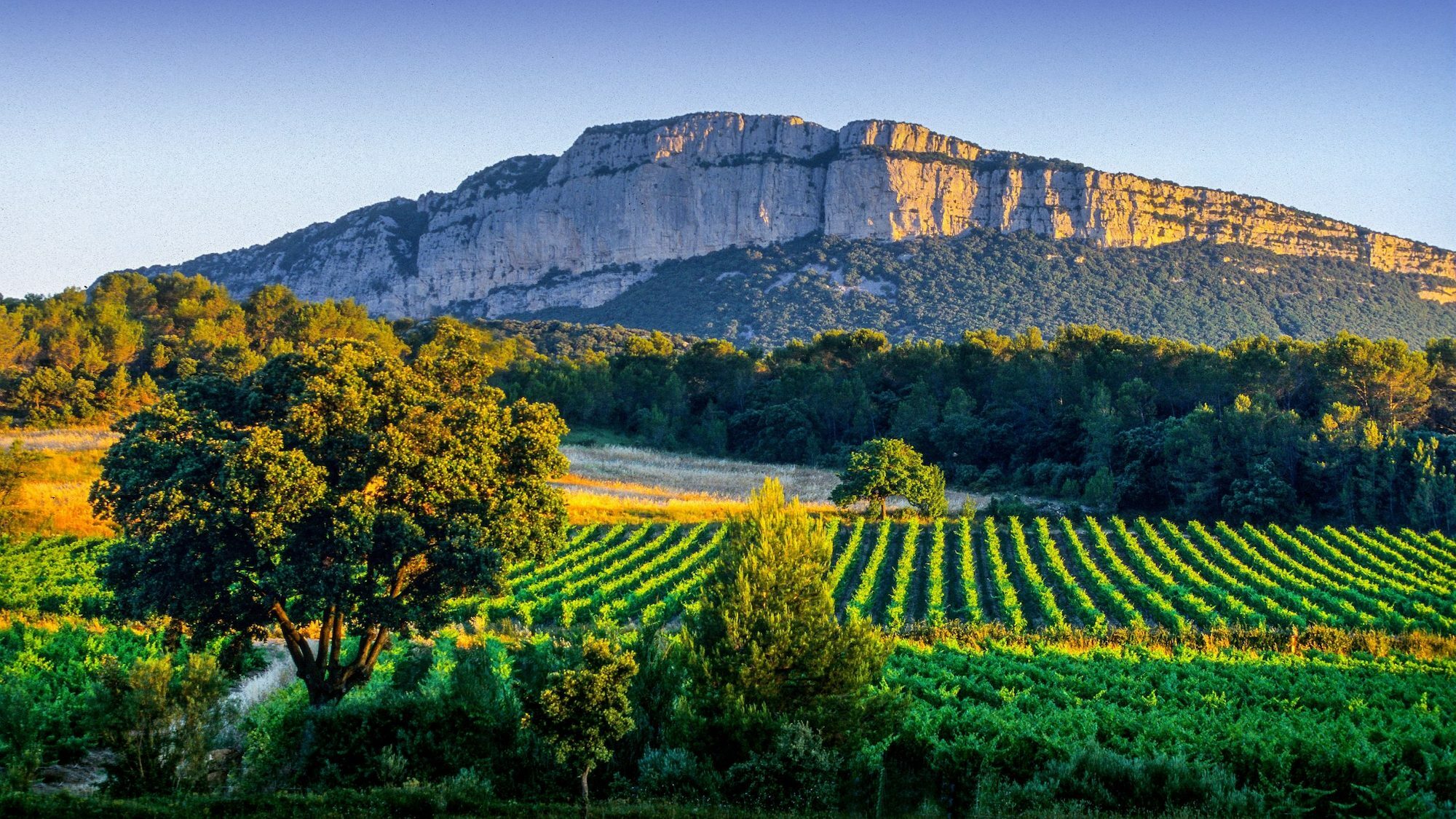 pic-saint-loup1g-deschamps-scaled