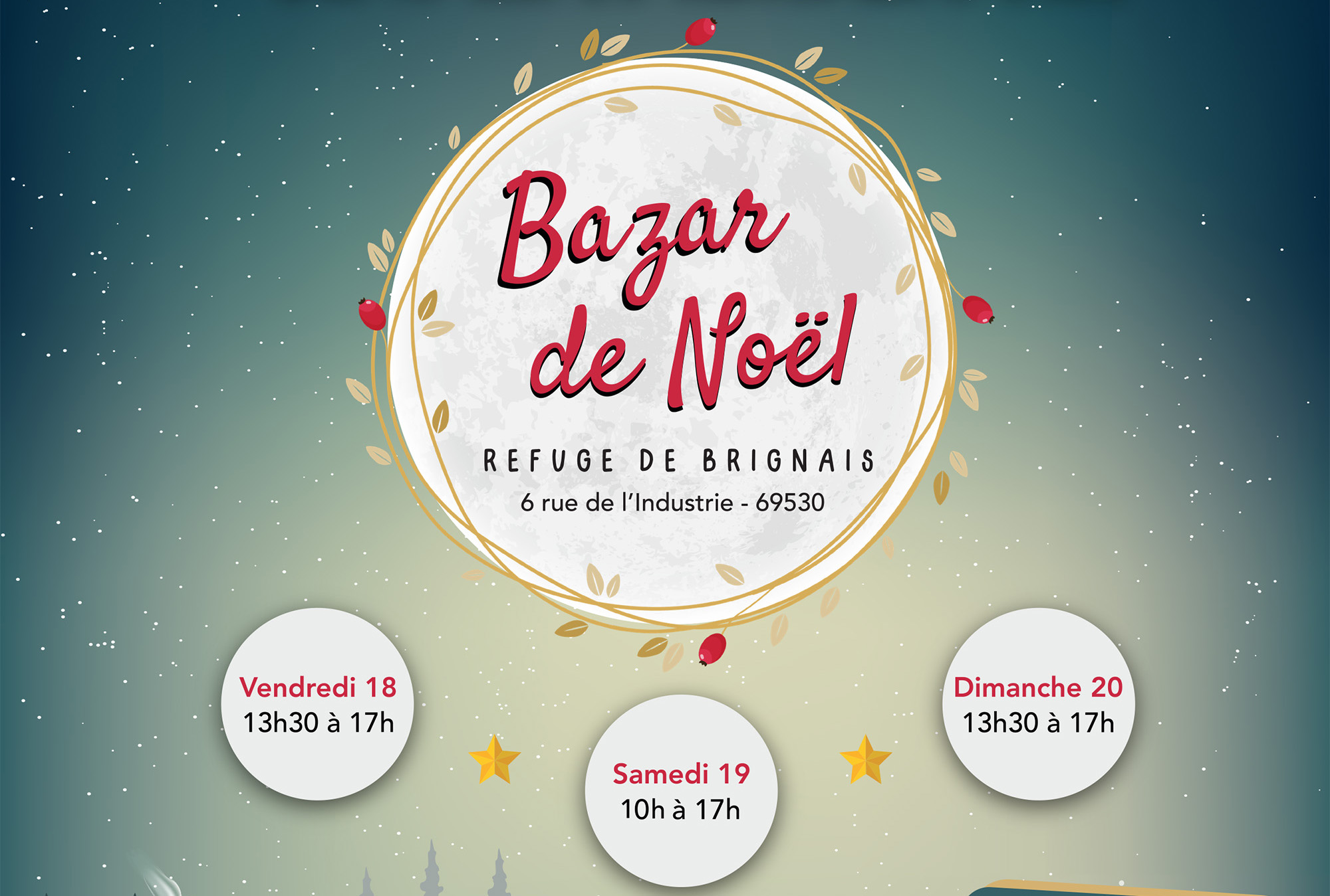 La SPA de Lyon organise son grand Bazar de Noël pendant 3 jours en