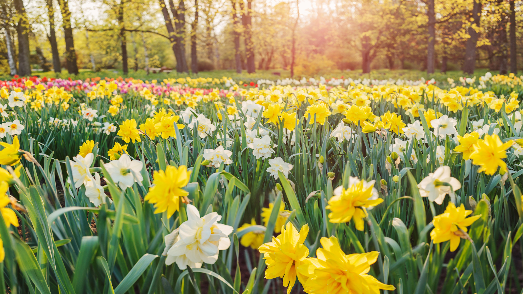 istock-627728640