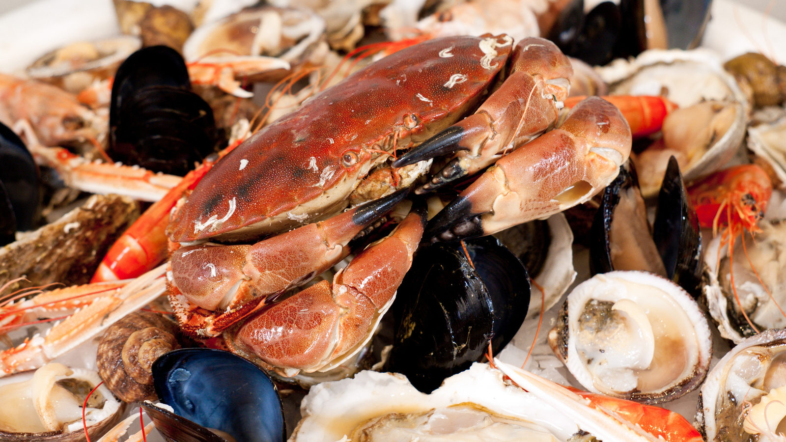 Nos meilleurs restaurants de fruits de mer à Paris Food & Drink Paris