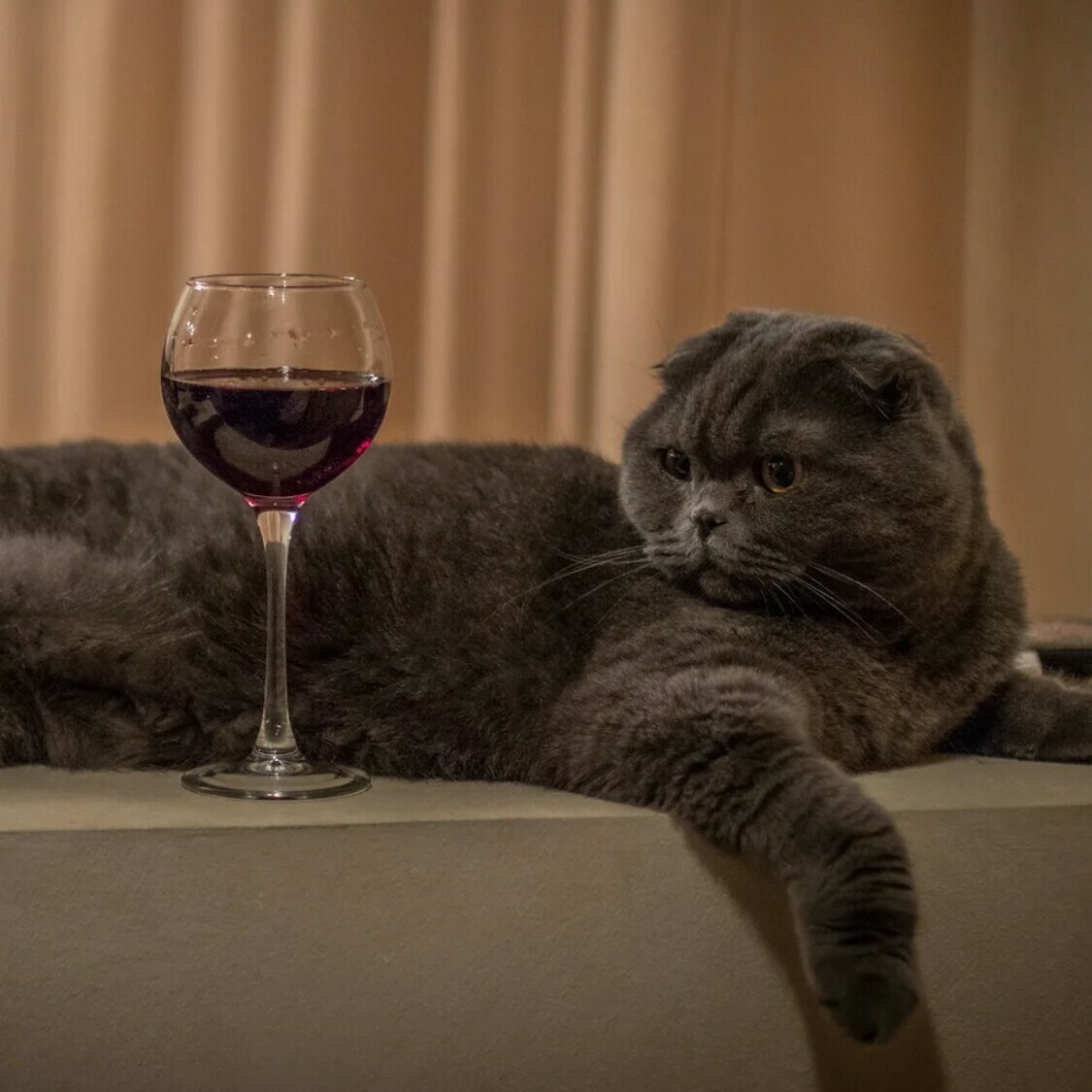 chat-vin