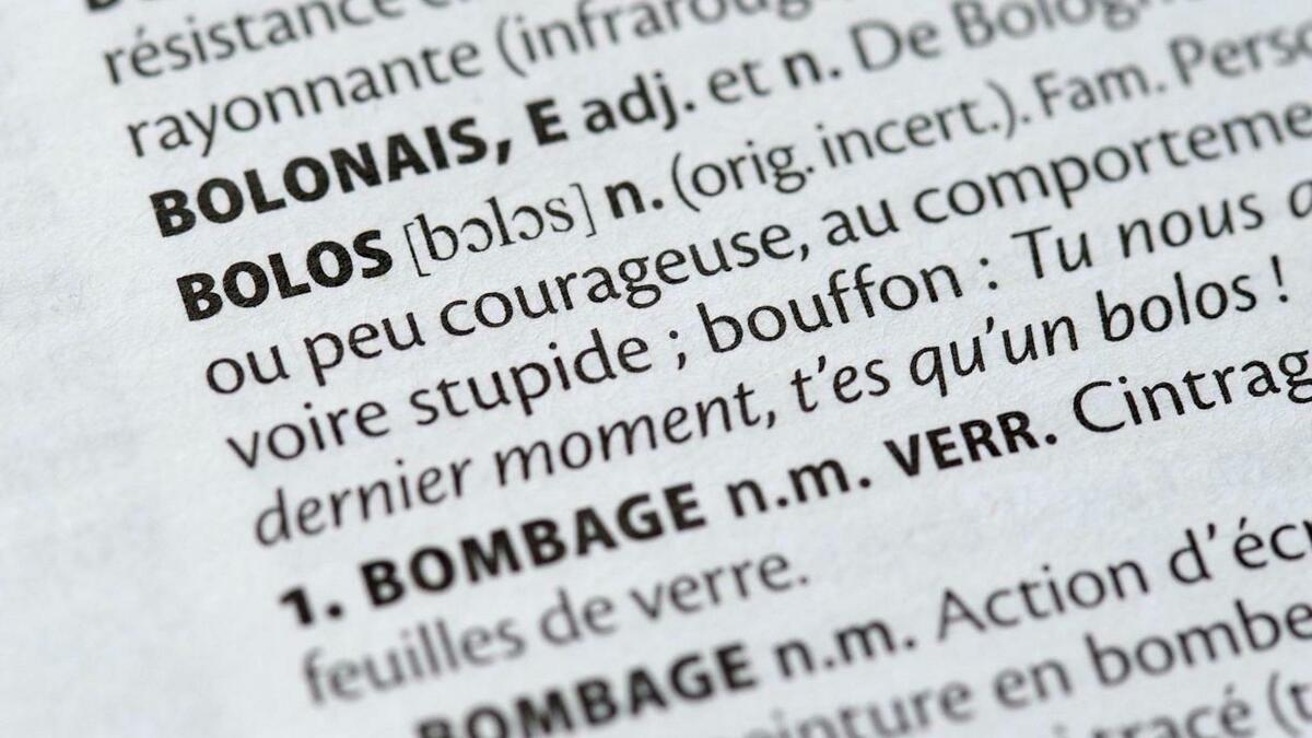 Voici La Liste Des Nouveaux Mots Qui Vont Rentrer Dans Le Dictionnaire En 2023 Le Bonbon 