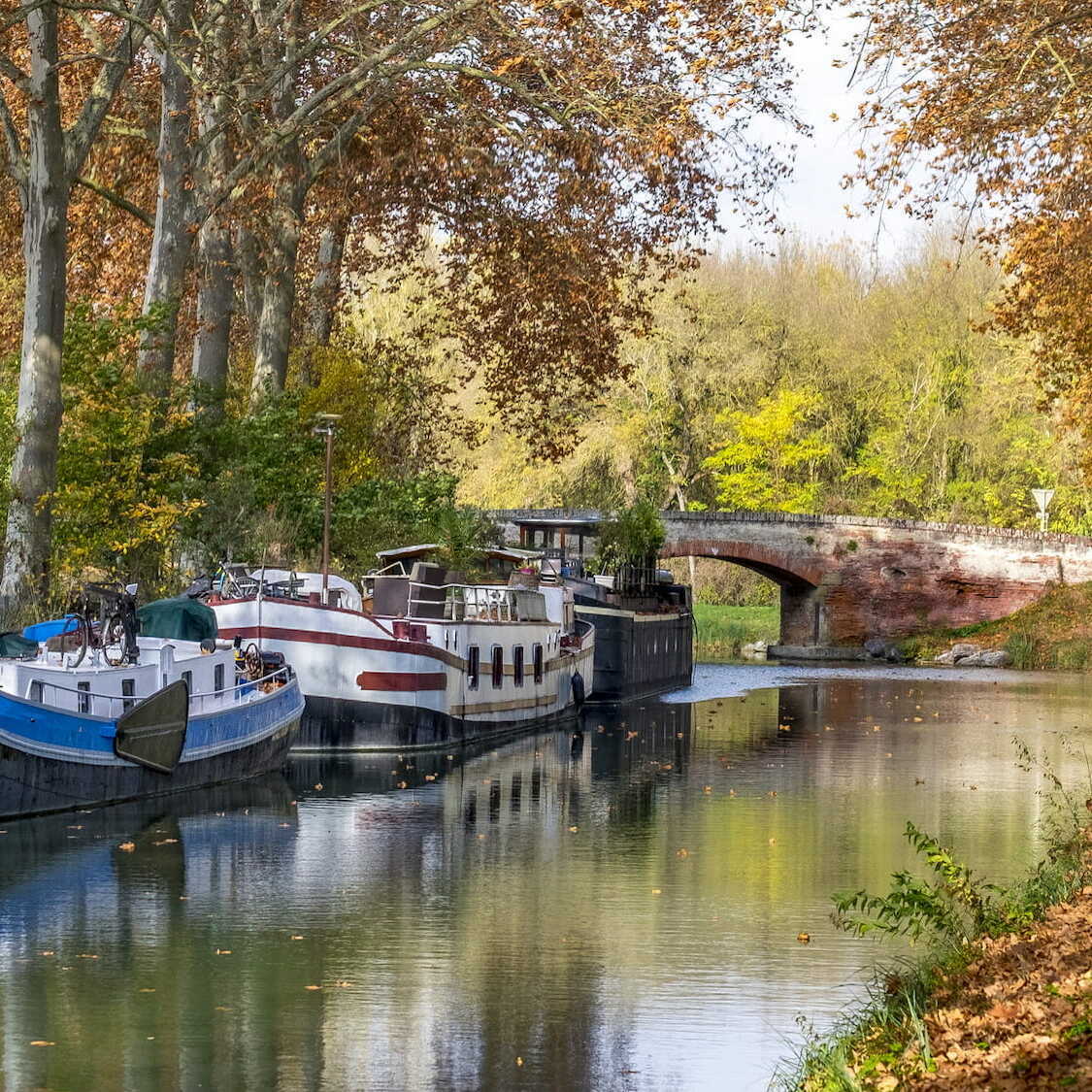 toulouse-automne