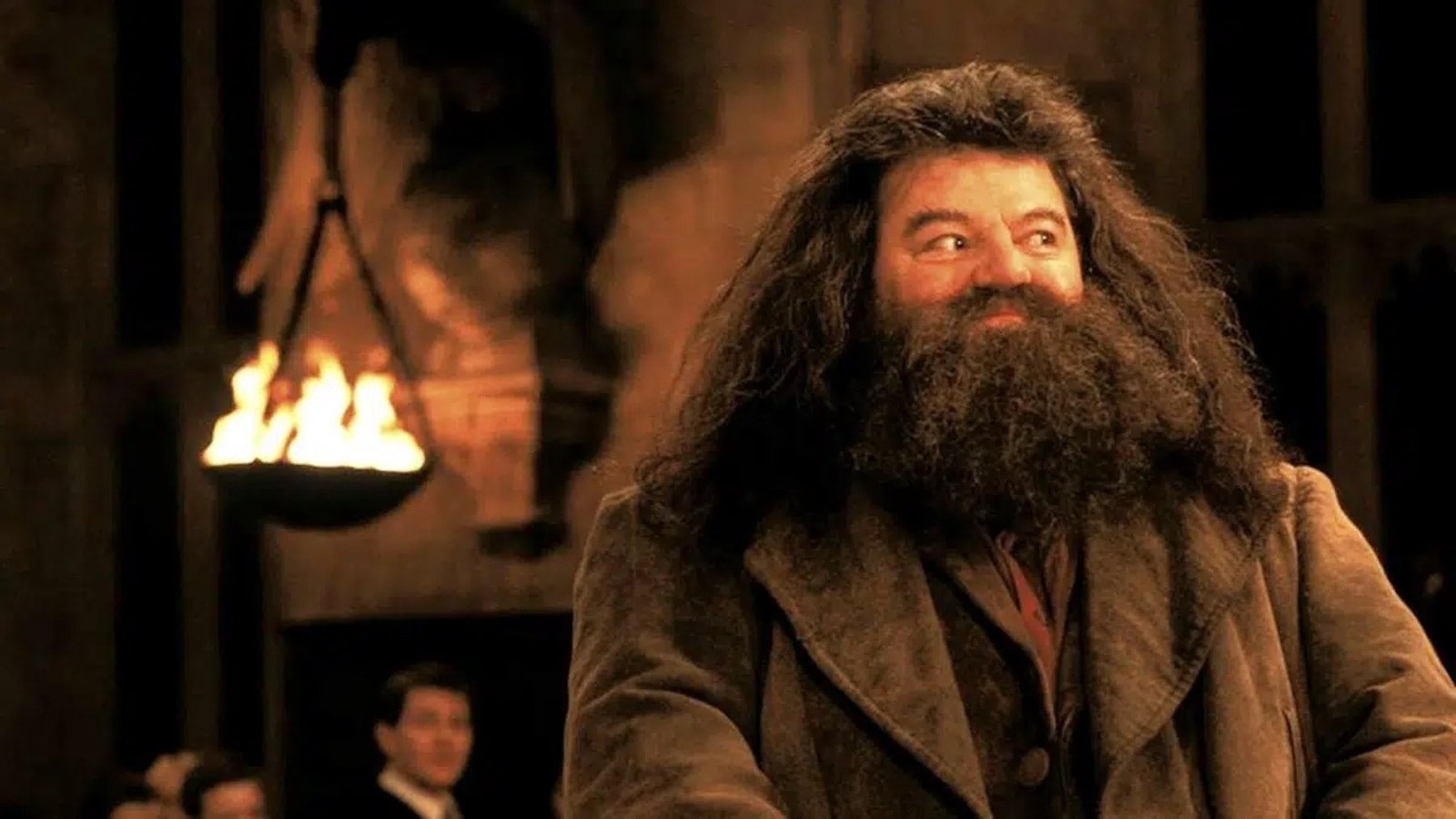 L'acteur De Hagrid Dans Harry Potter Est Décédé à 72 Ans | News | Paris