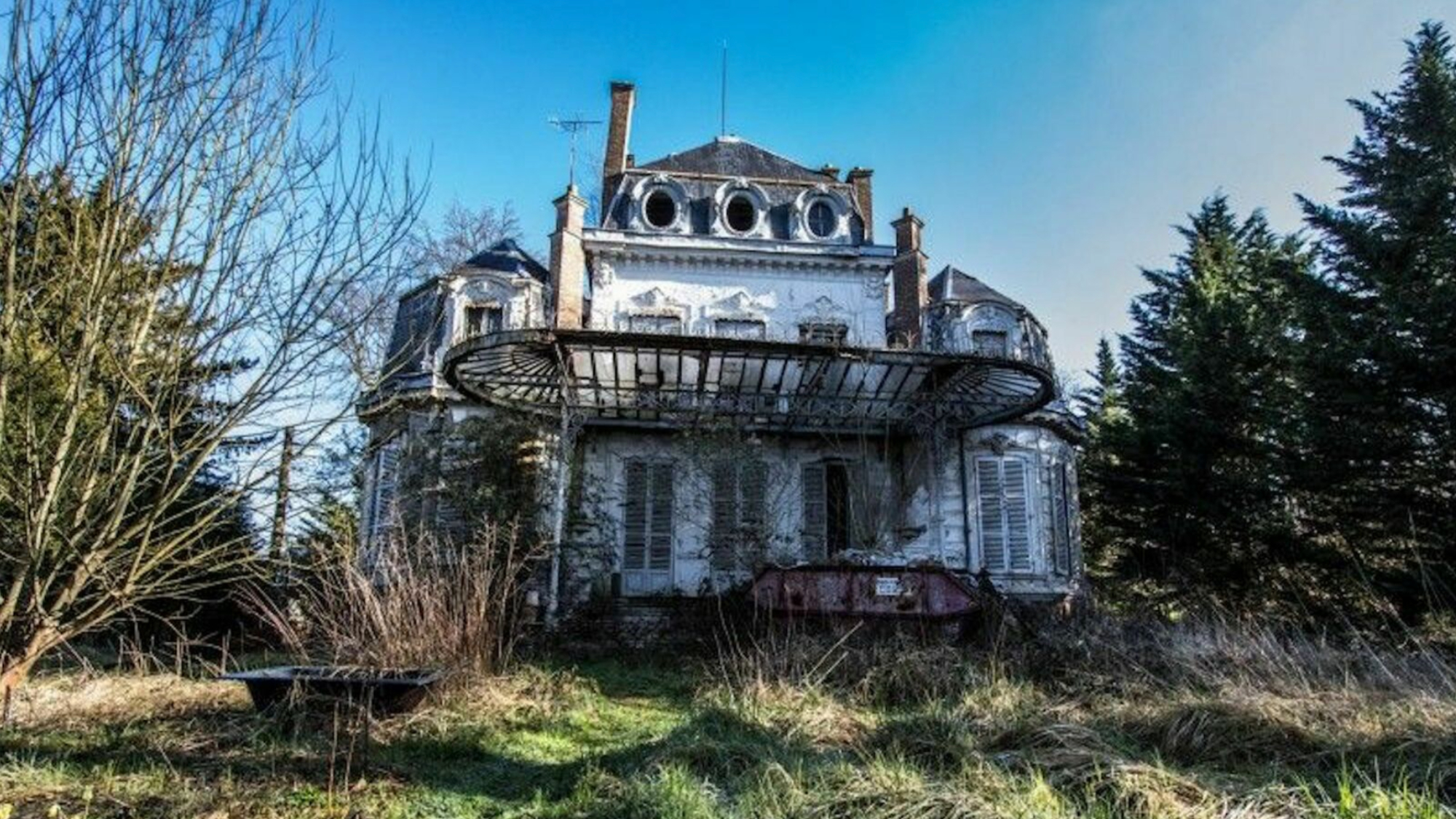 pavlovich-1-